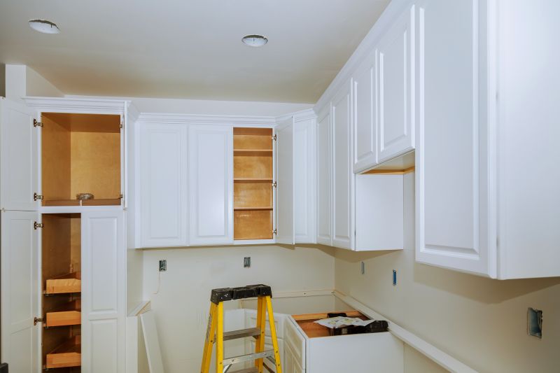 Custom Cabinet Service in Carmel, IN